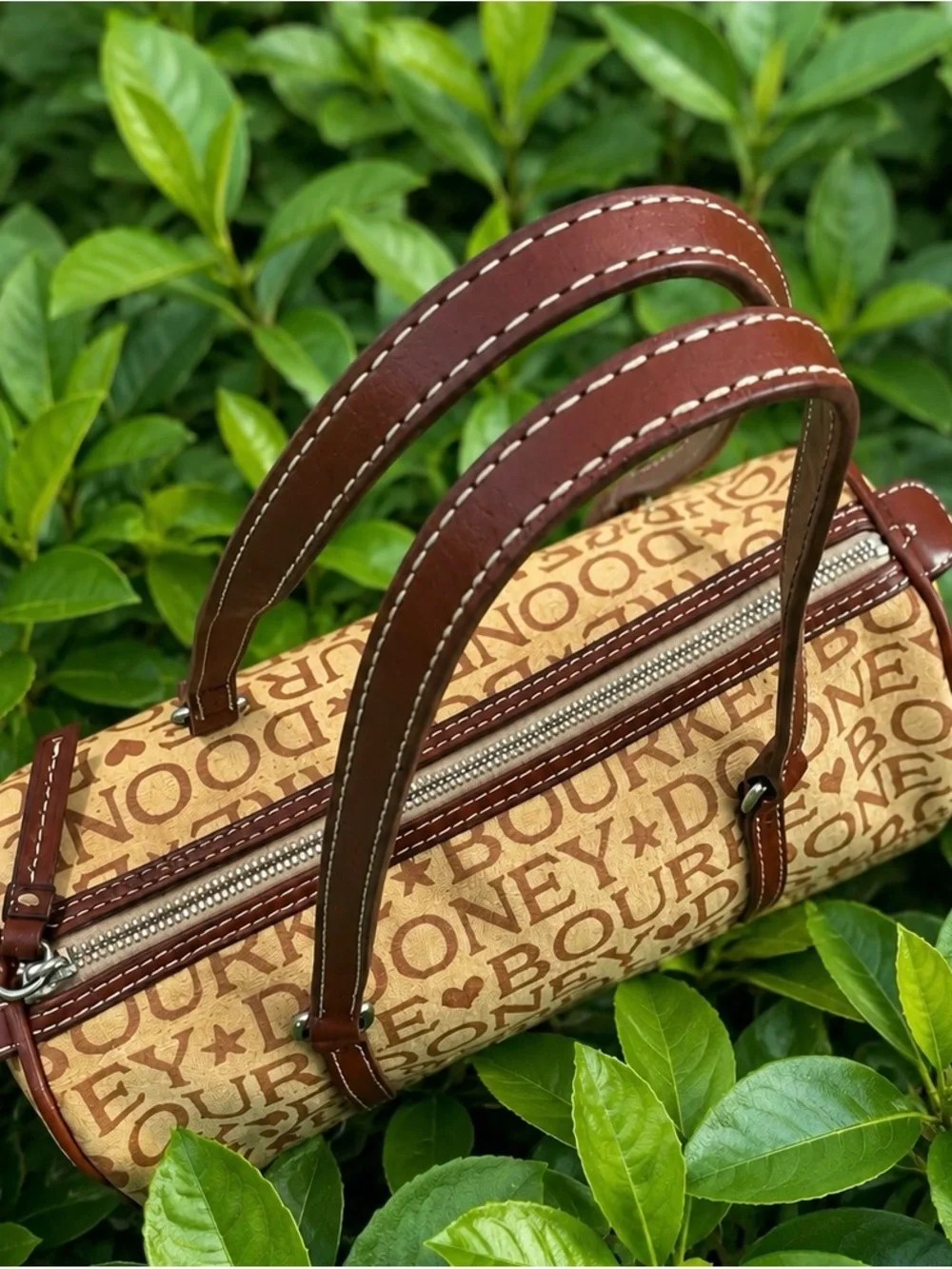Dooney & Bourke stylish brown